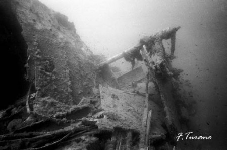 Nel fondale sabbioso .....