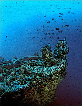 Nel vecchio porto …..