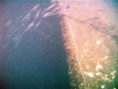 /album/el-hawi-star/imag0150-jpg/